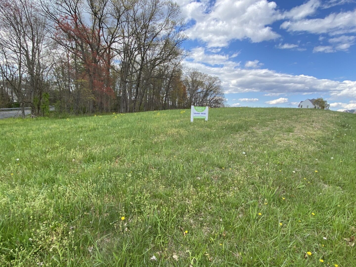 Chenopodium Acres 2